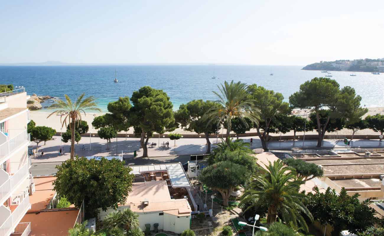 Hotel Palia Trópico playa Palmanova Hotel Palia Trópico playa Palmanova