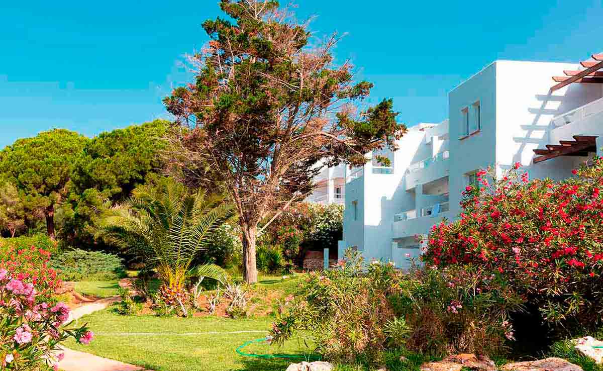 puerto del sol hotel palia puerto del sol hotel palia