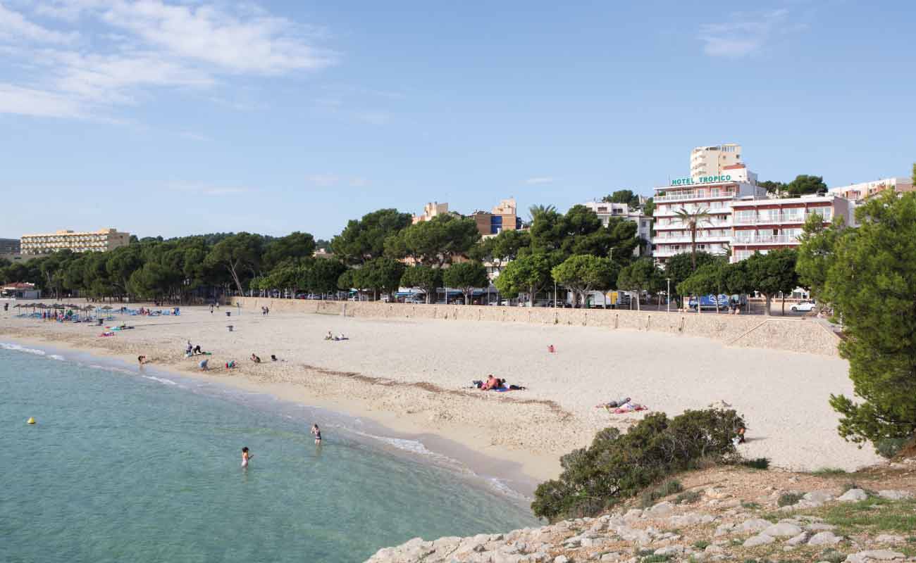 hotel palia tropico playa palmanova hotel palia tropico playa palmanova