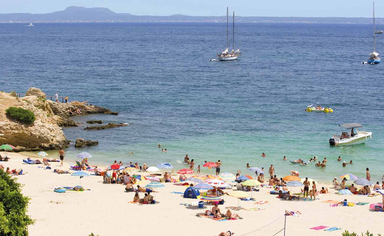 Hotel Palia Trópico playa Palmanova Hotel Palia Trópico playa Palmanova