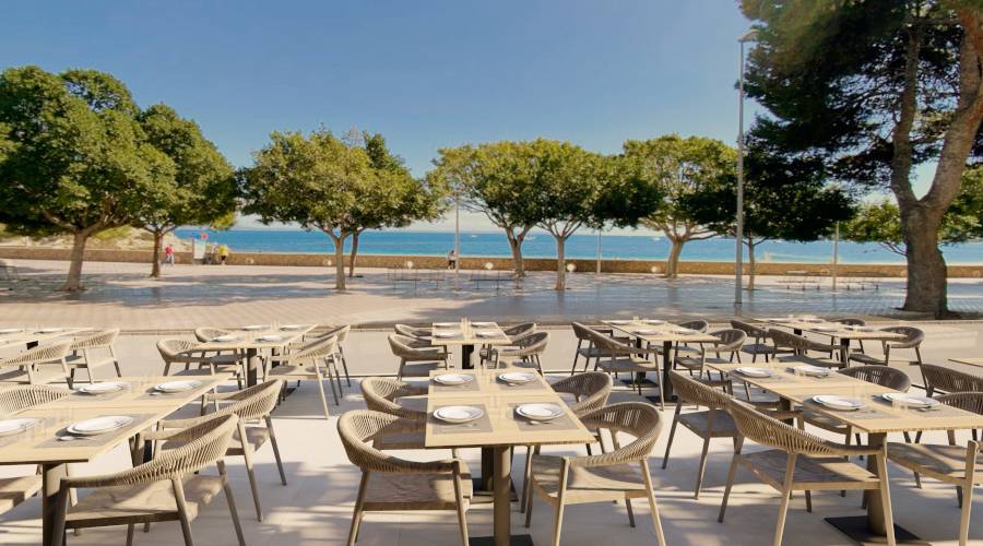 Restaurante terraza hotel palia tropico playa